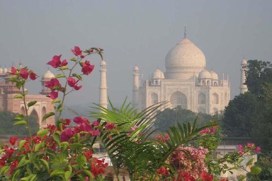 Tour image 4