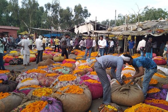 Tour image 2