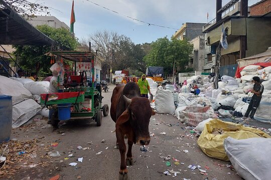 Tour image 7